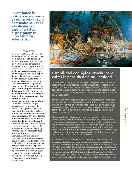 PAGINAS IN SITU 5713