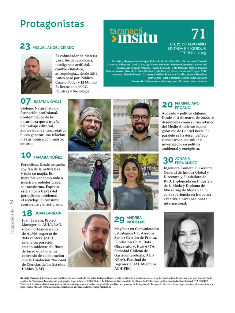 PAGINAS INSITU 71 MEDIA2