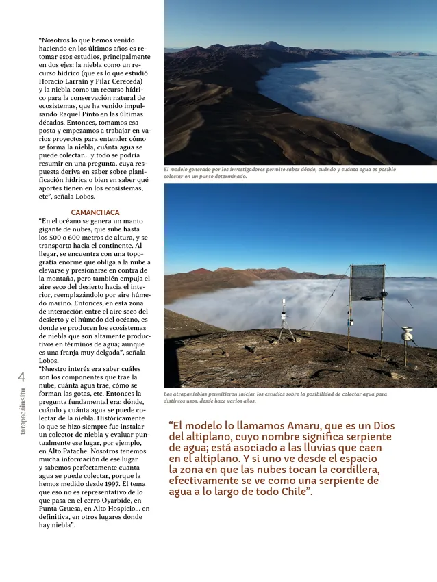 PAGINAS INSITU 78 PNG4