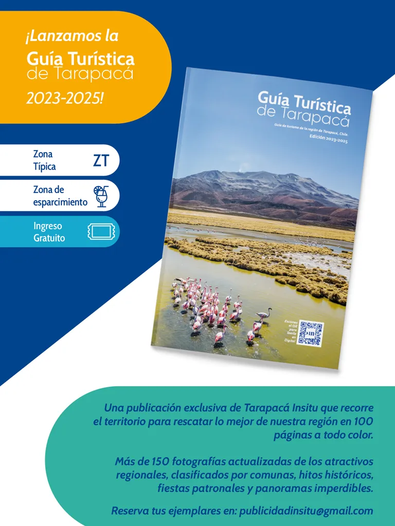 PAGINAS IN SITU 66  PNG32