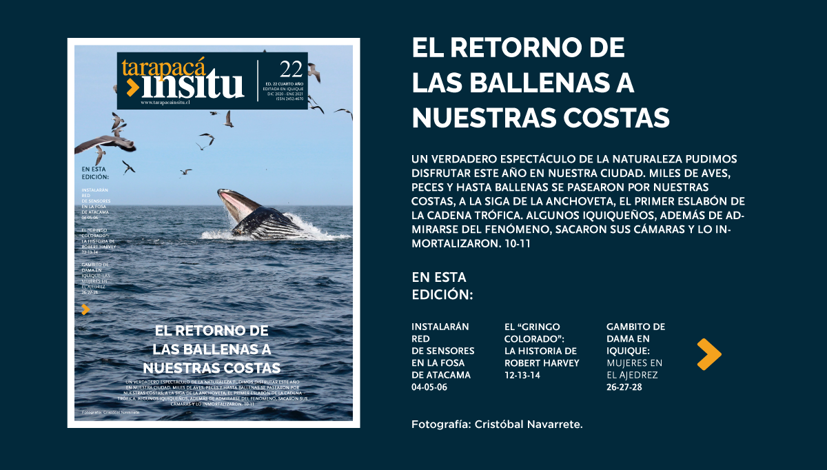 TIed22-portada-final-horizontal