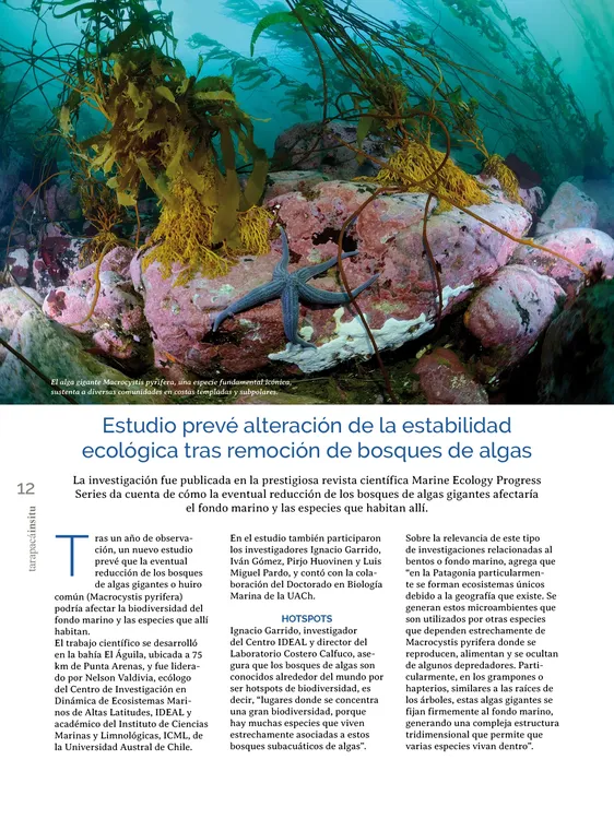 PAGINAS IN SITU 5712