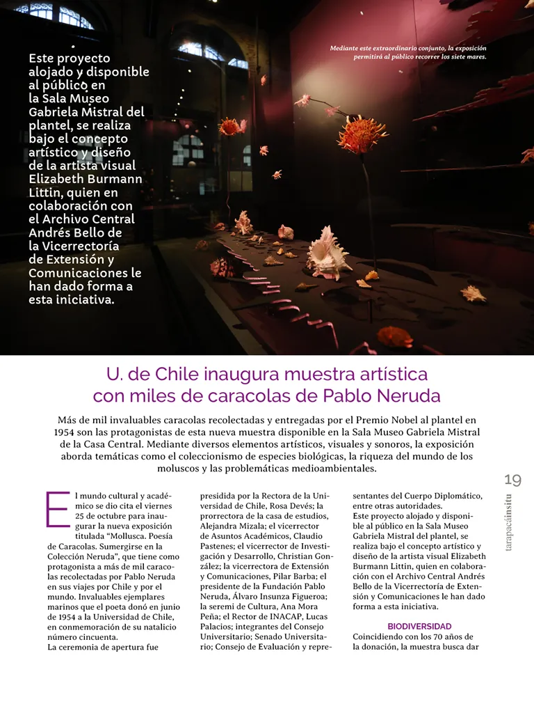 PAGINAS IN SITU 67 ALTA19
