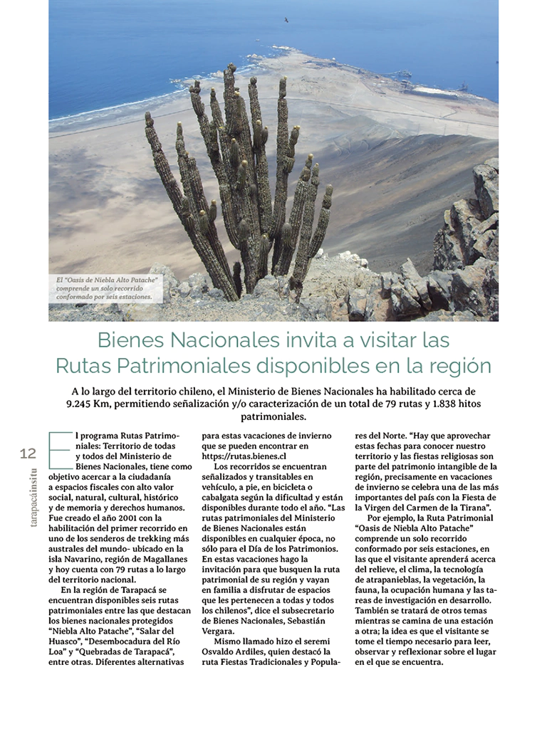 Revista Tarapacá Insitu ed52 - Página 12