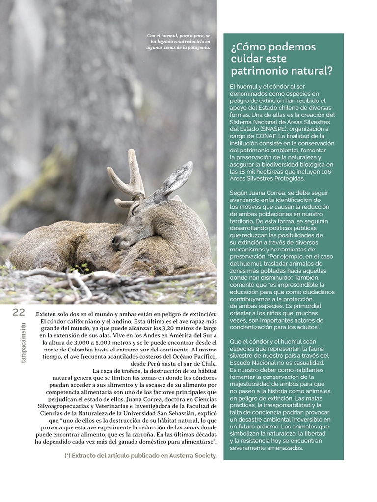 Revista Tarapacá Insitu ed54 - Página22