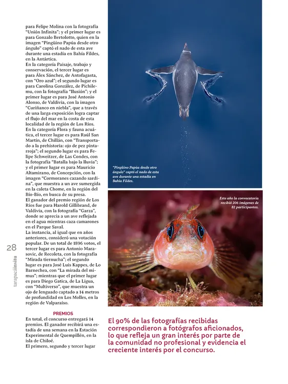 PAGINAS IN SITU 68 MEDIA28