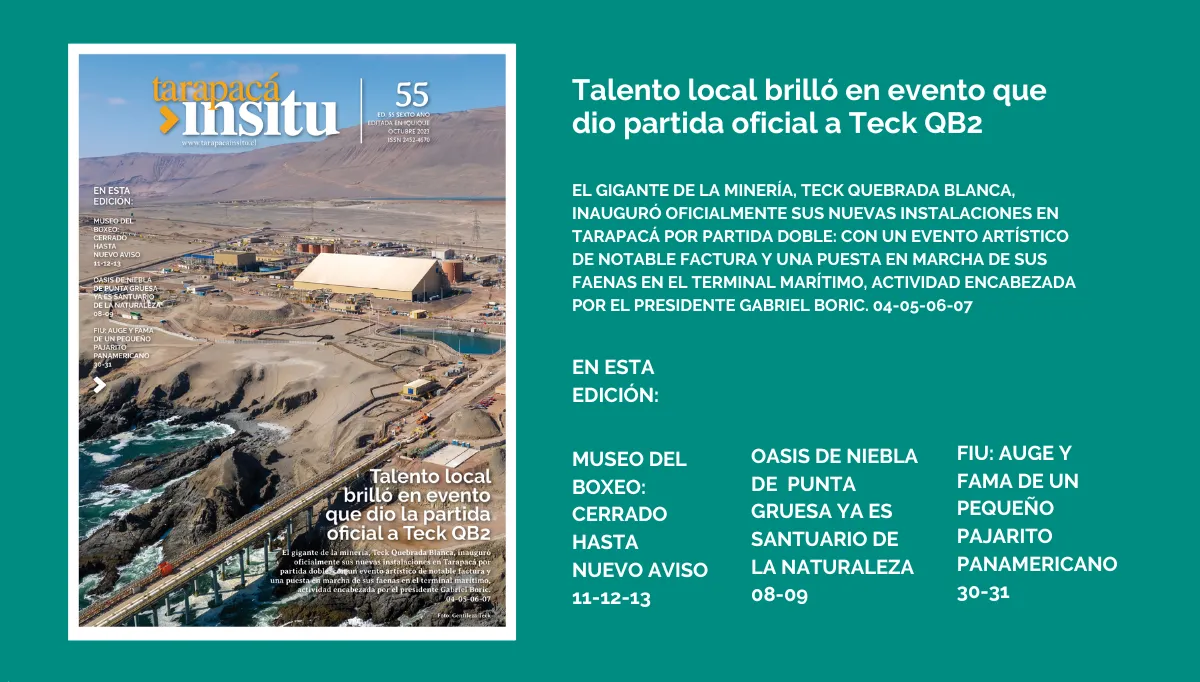 TIed55 Portada final horizontal