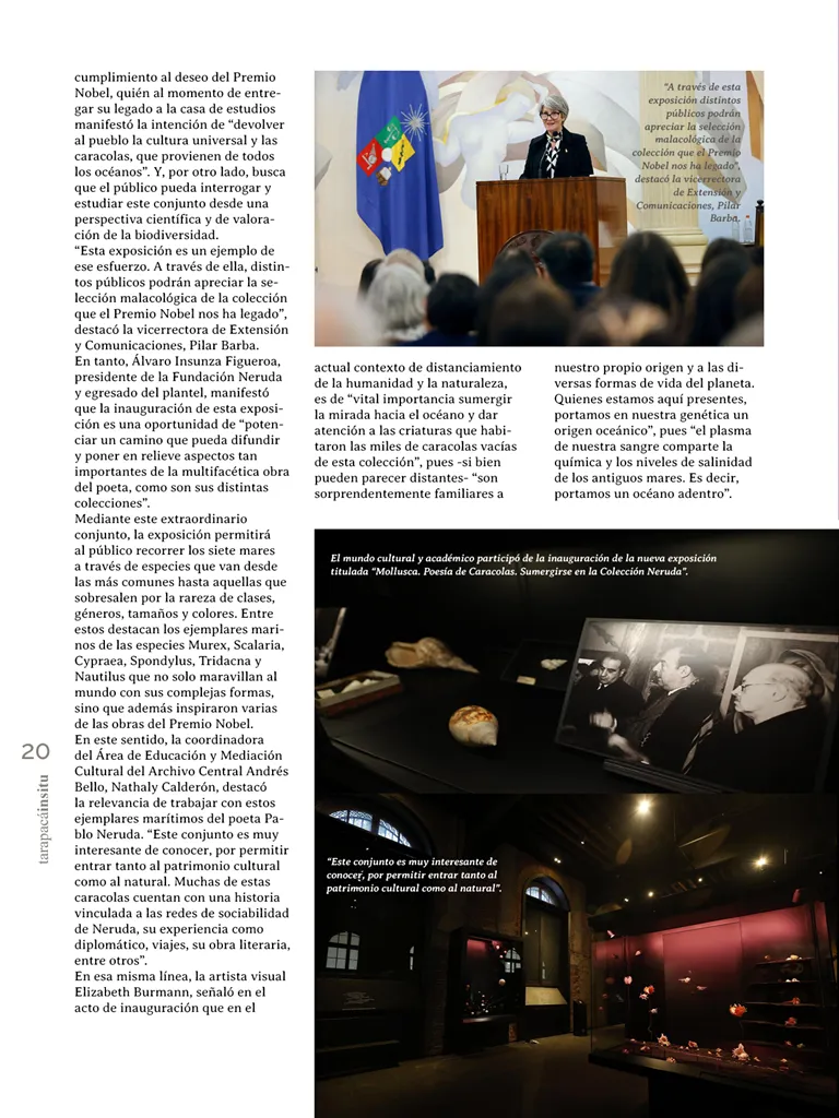 PAGINAS IN SITU 67 ALTA20