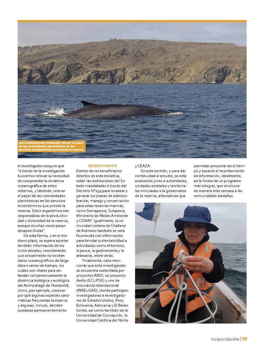 Revista Tarapacá Insitu ed49 - Página19
