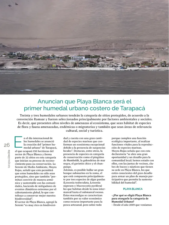 PAGINAS IN SITU 69 MEDIA26