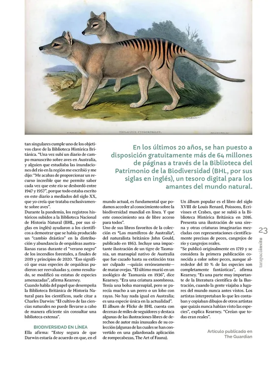Tarapaca Insitu ed81_PNG23