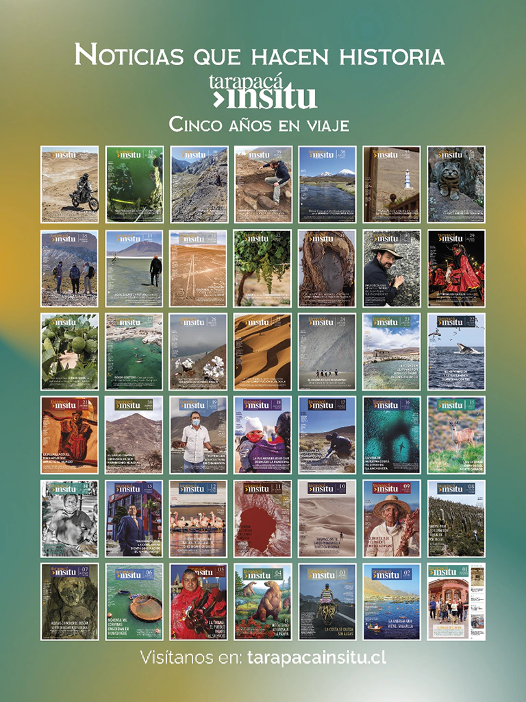 Revista Tarapacá Insitu ed52 - Contraportada