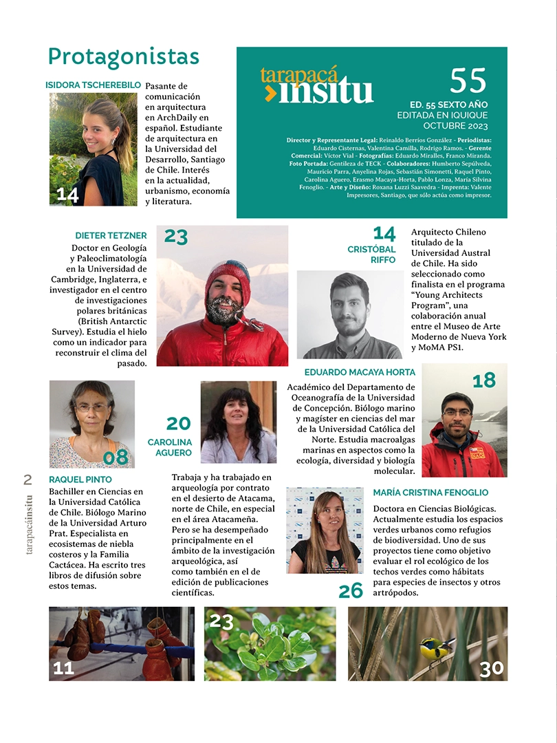 Revista Tarapacá Insitu ed 55 - Página 2