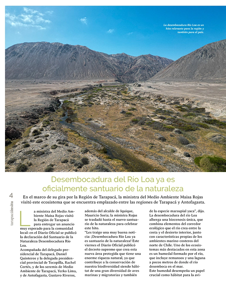 PAGINAS IN SITU 65 P4