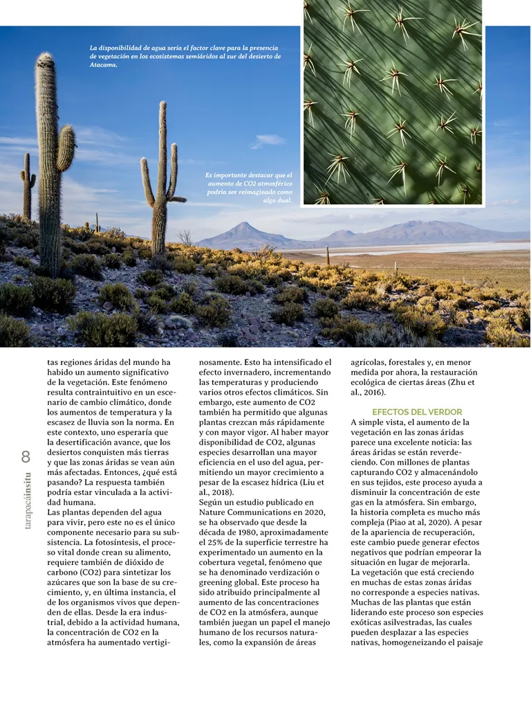 PAGINAS INSITU 71 MEDIA8