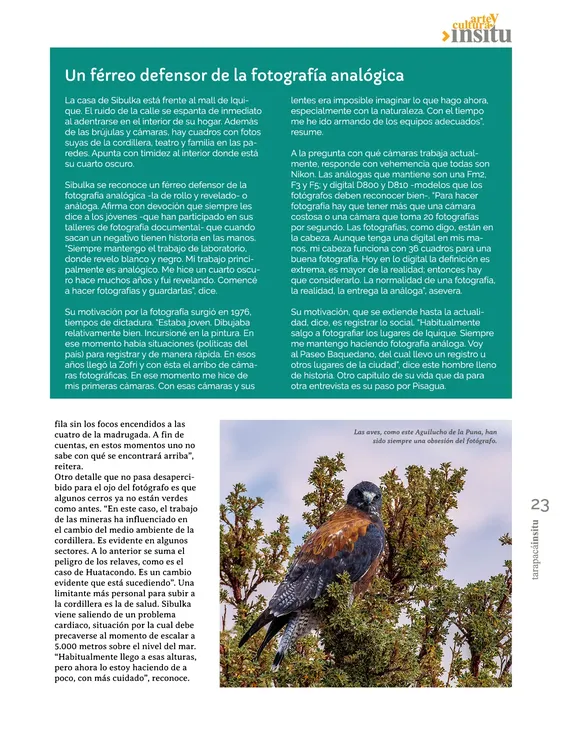 PAGINAS IN SITU 56 IMPRENTA23