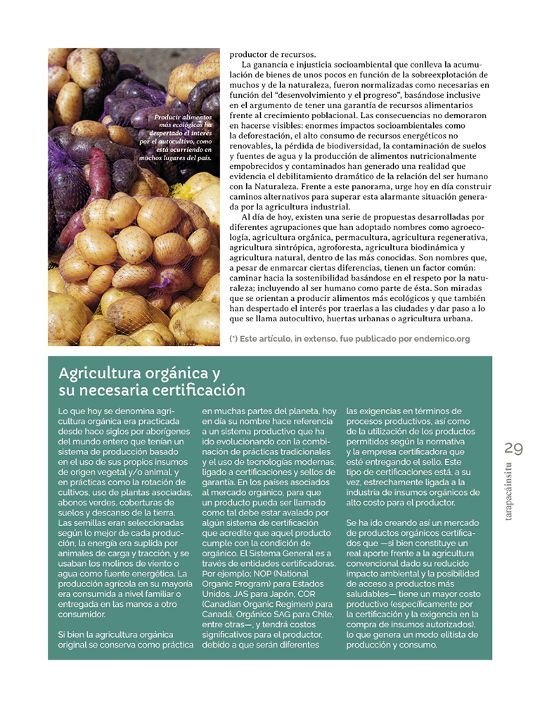 Revista Tarapacá Insitu ed52 - Página 29