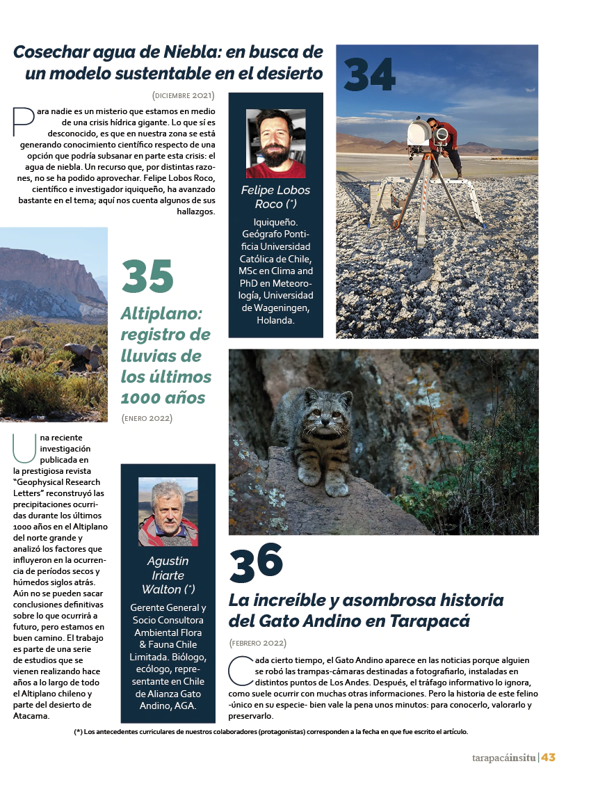 Revista Tarapacá Insitu ed50 - Página 43
