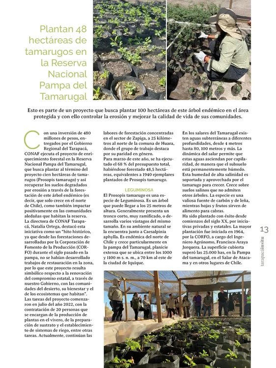 PAGINAS IN SITU PNG13