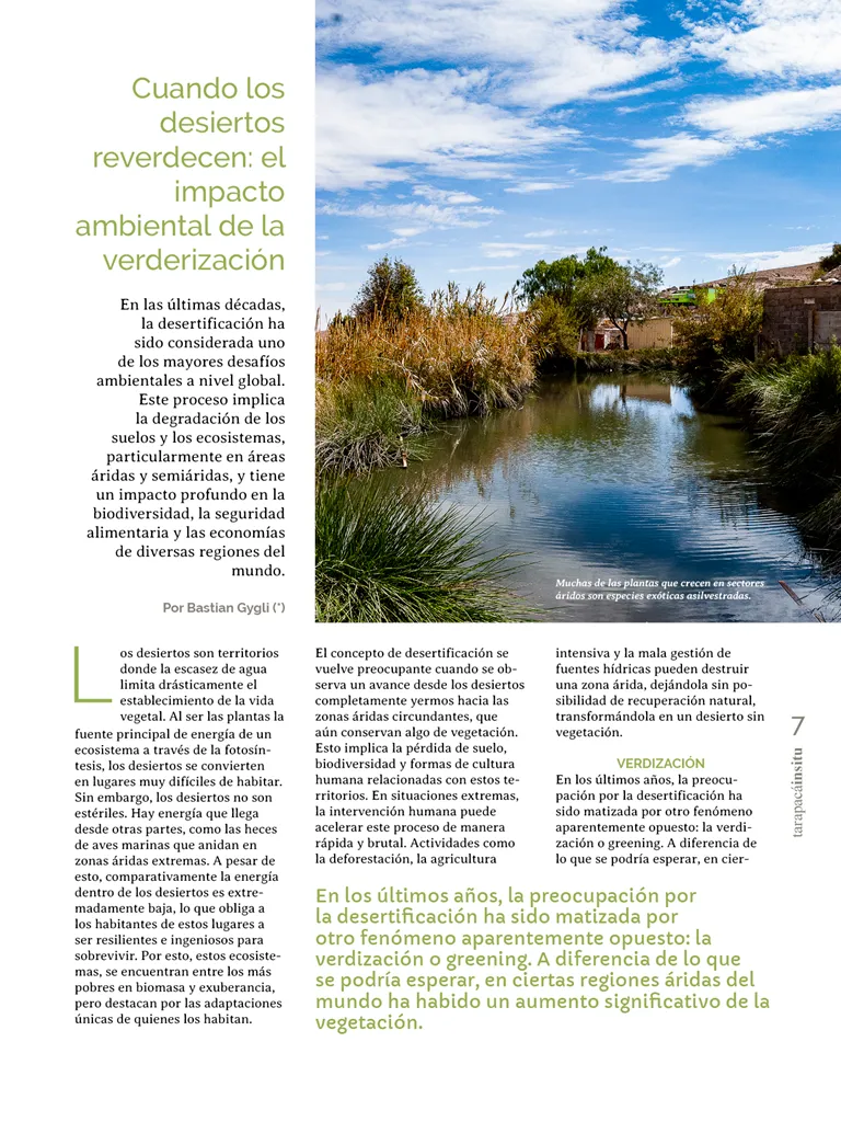 PAGINAS INSITU 71 MEDIA7