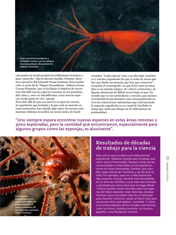 PAGINAS IN SITU 60 BAJA9