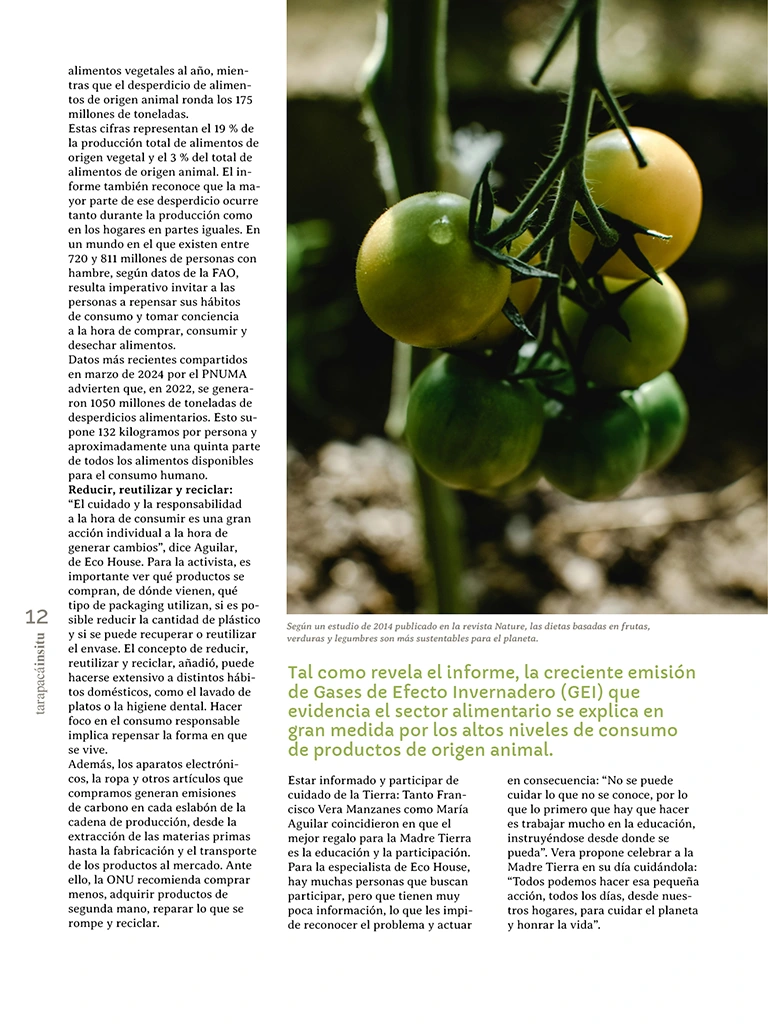 PAGINAS INSITU 73 MEDIA12