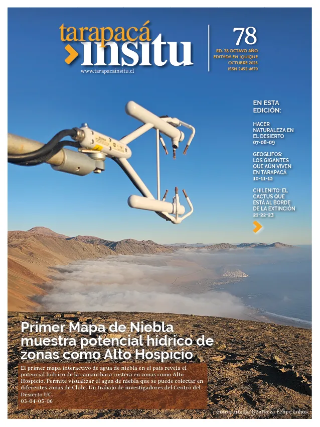 PAGINAS INSITU 78 PNG