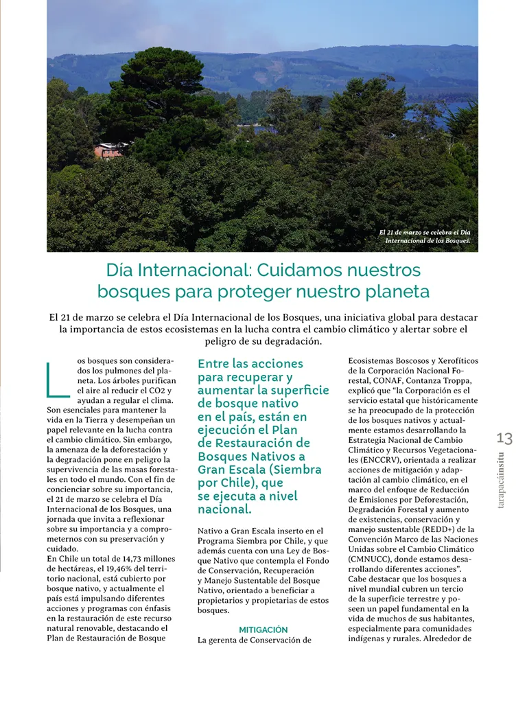 PAGINAS INSITU 71 MEDIA13