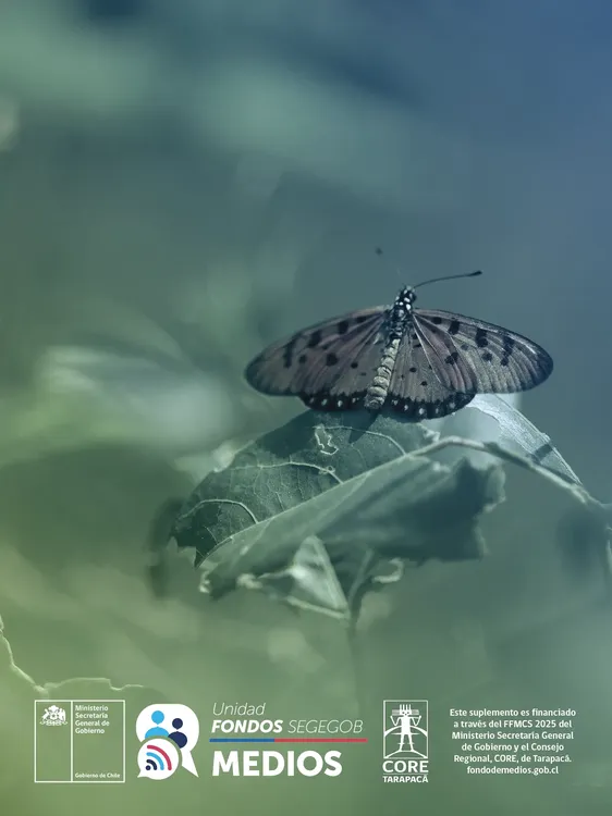 CienciaNMujer-Final RGB v112