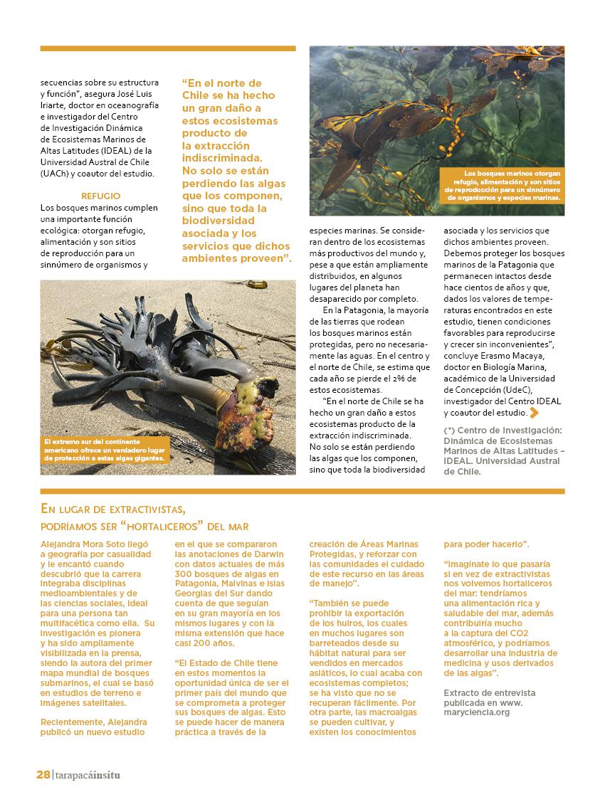 tarapacainsitued3928