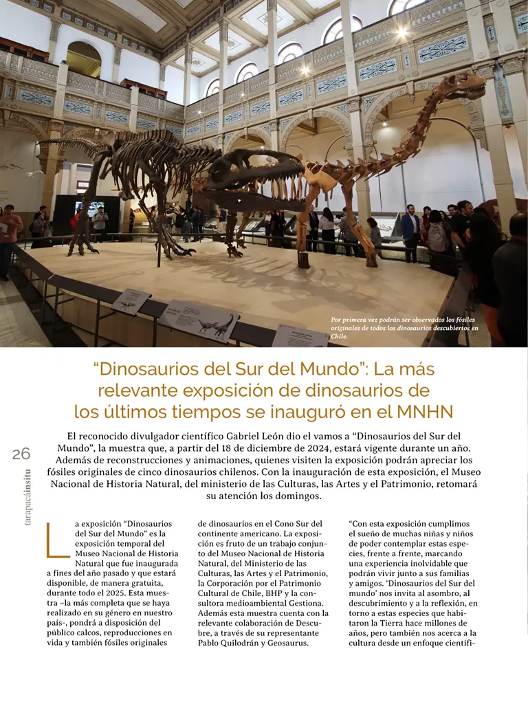 PAGINAS INSITU 71 MEDIA26