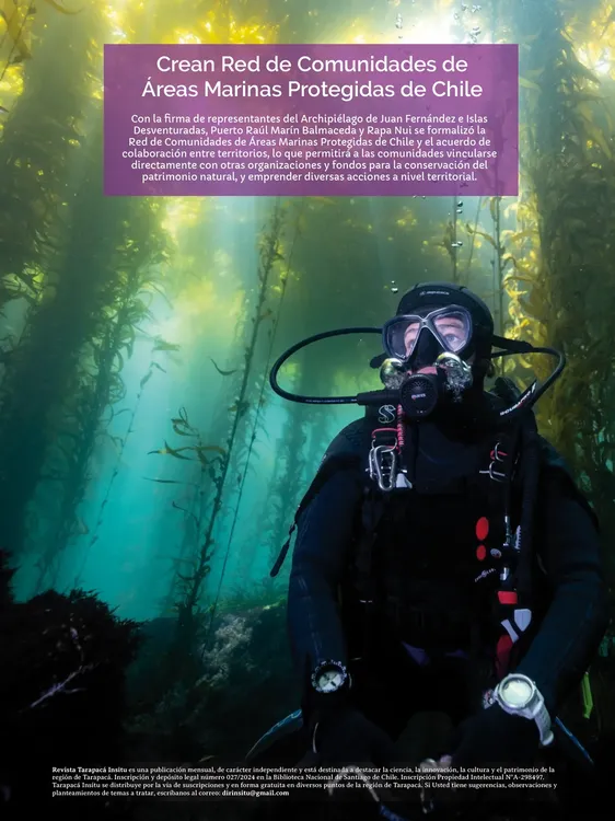 PAGINAS IN SITU 63 BAJA3