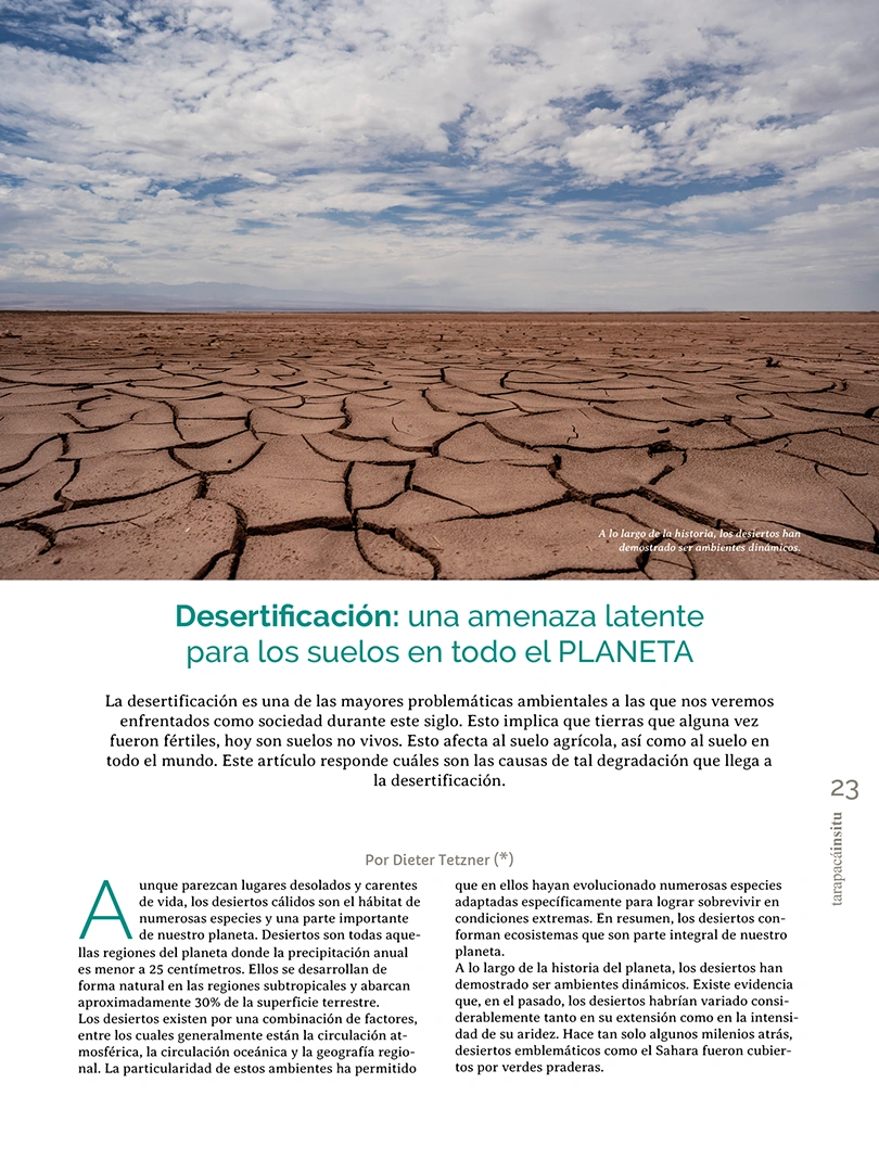 Revista Tarapacá Insitu ed 55 - Página 23