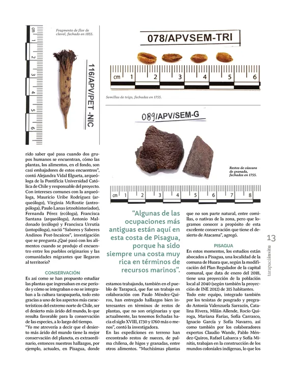 Tarapaca Insitu ed81_PNG13
