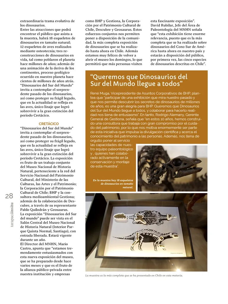 PAGINAS INSITU 71 MEDIA28