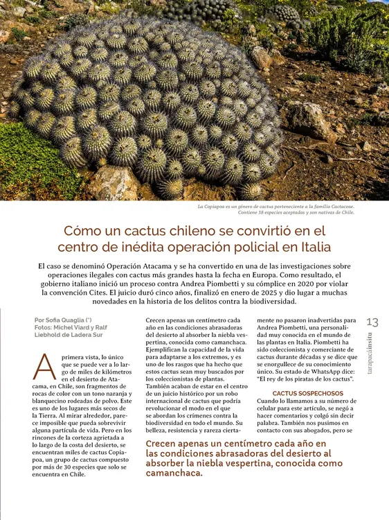 PAGINAS INSITU 72 PNG13