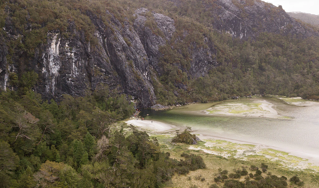 region de aysen investigacion marea roja