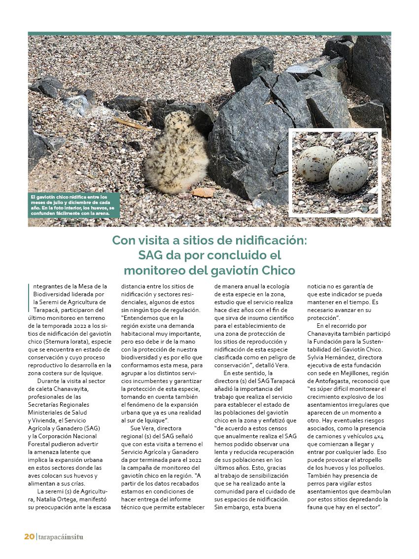 Revista Tarapacá Insitu ed45 - Página20