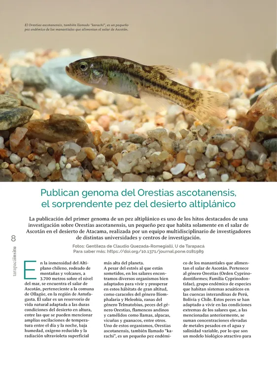 PAGINAS IN SITU 63 BAJA8