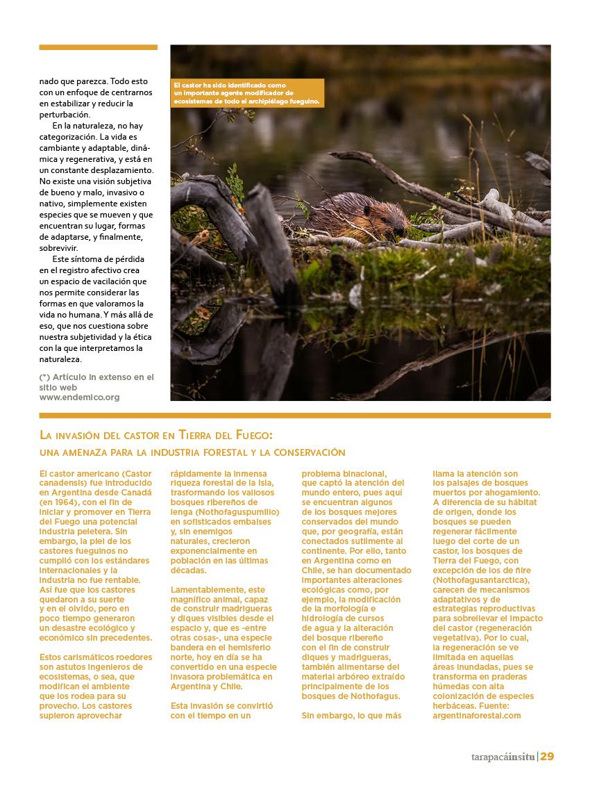 Revista Tarapacá Insitu ed45 - Página29