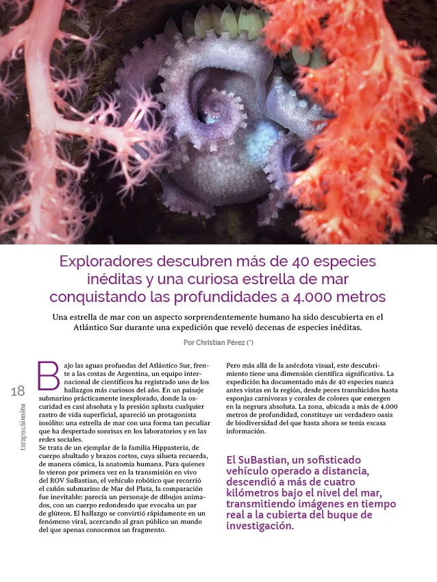 PAGINAS INSITU 78 PNG18