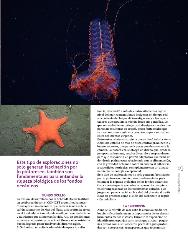 PAGINAS INSITU 78 PNG19