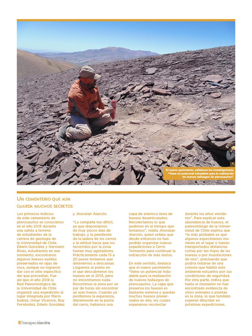 Revista Tarapacá Insitu ed49 - Página8