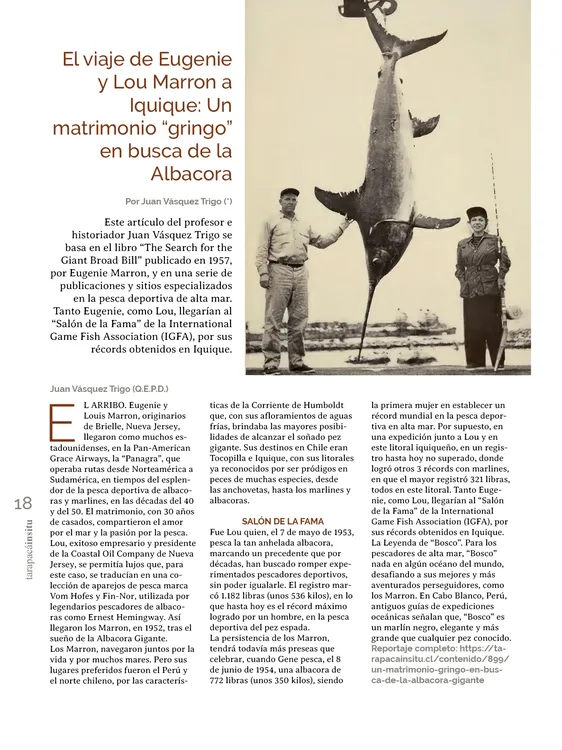 PAGINAS IN SITU 69 MEDIA18