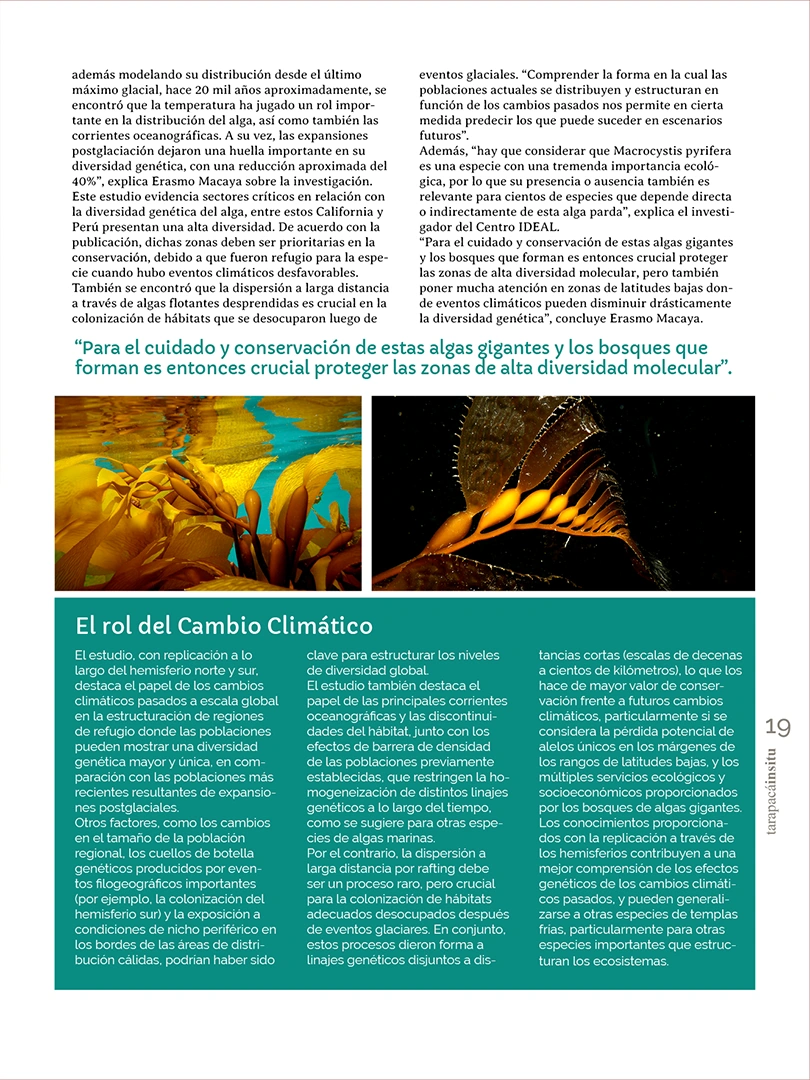 Revista Tarapacá Insitu ed 55 - Página 19