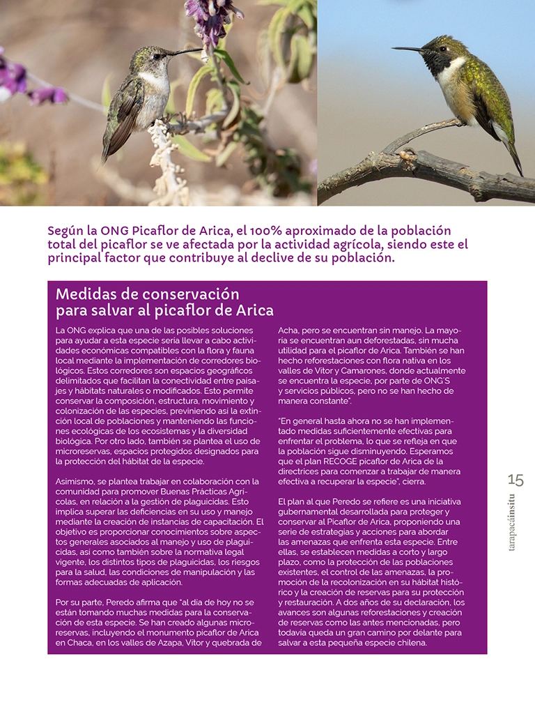 PAGINAS IN SITU 65 P15