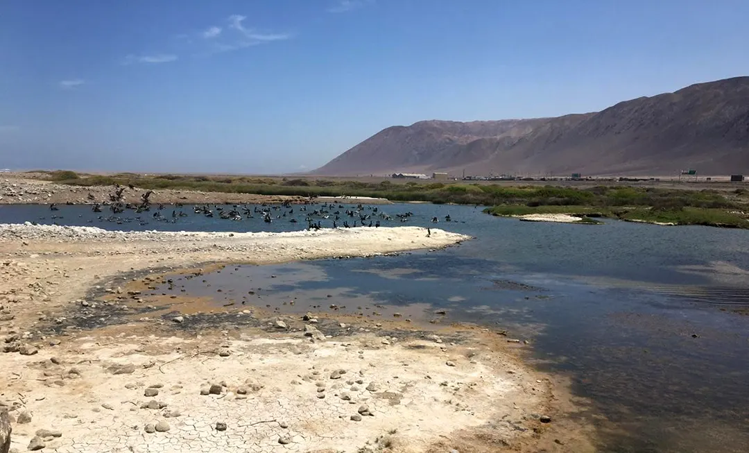 rio loa santuario de la naturaleza 1