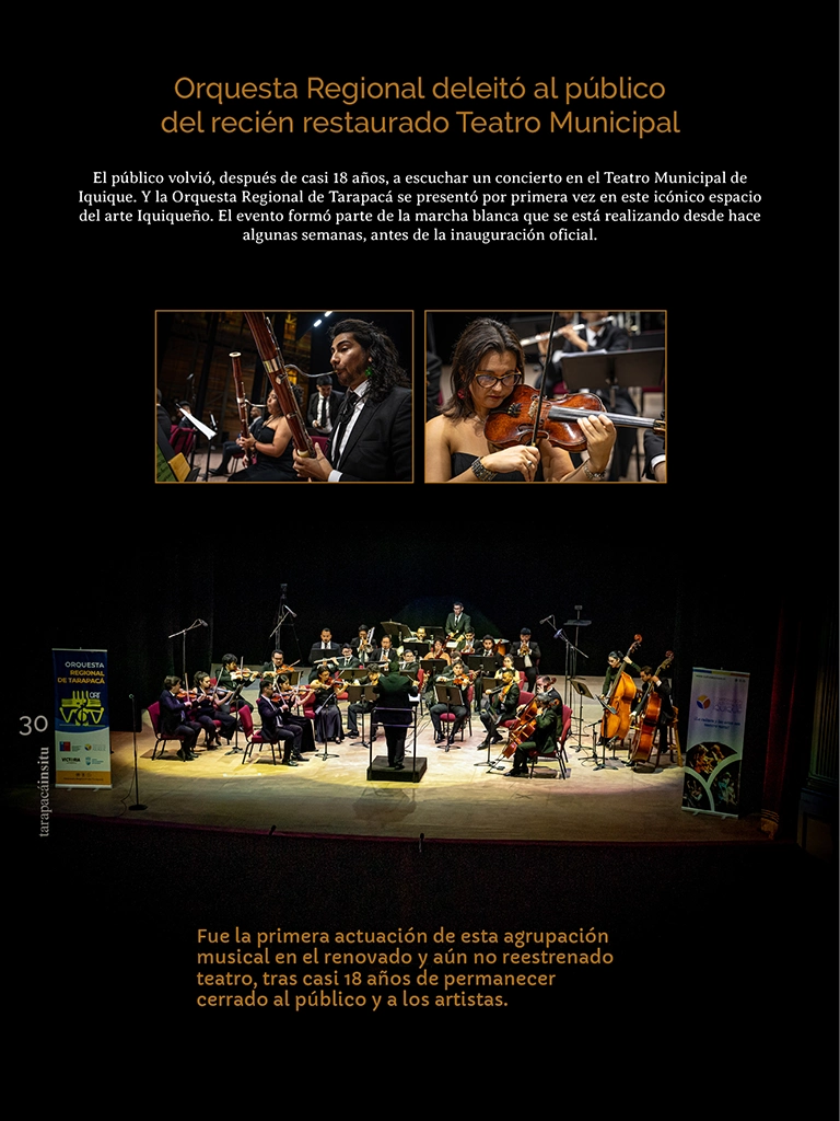 PAGINAS INSITU 73 MEDIA30