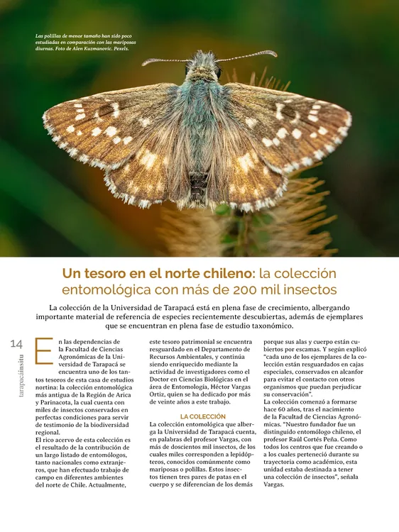 PAGINAS IN SITU PNG14