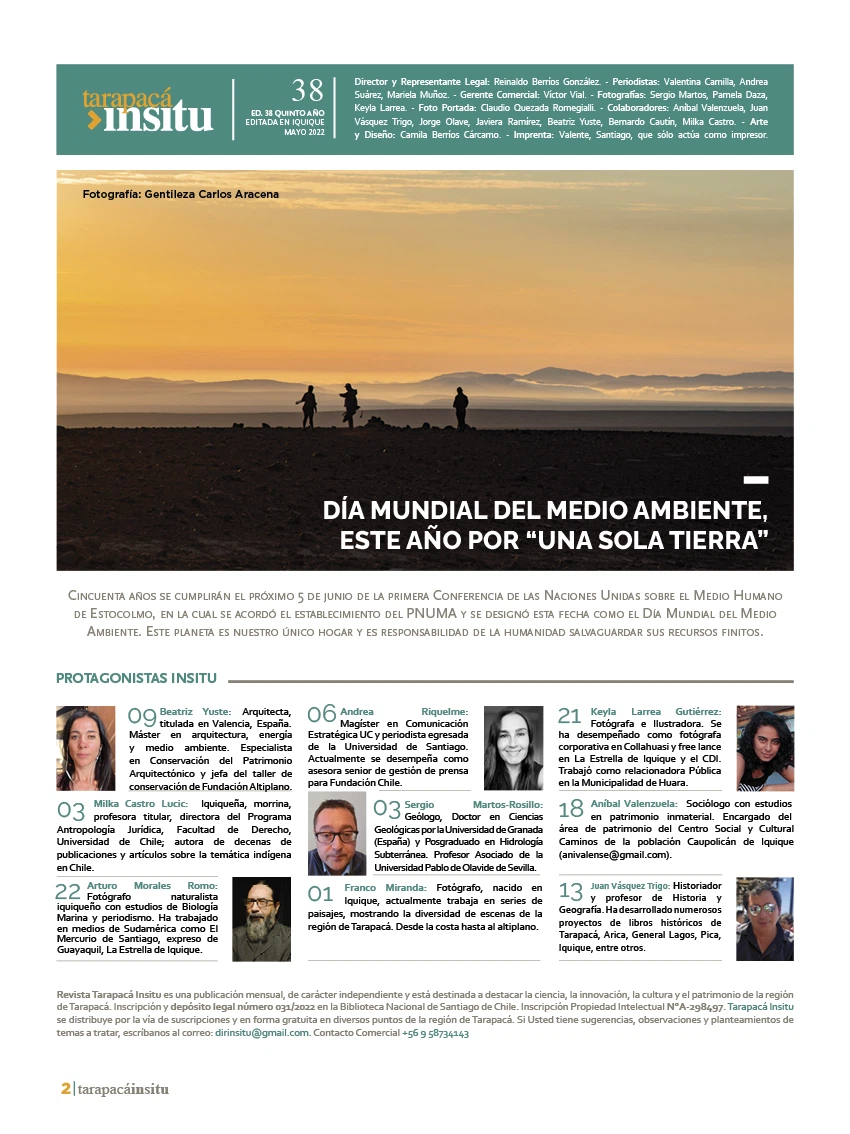 Revista Tarapacá Insitu Edición 38 - P2
